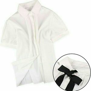 Bow tie button down chiffon blouse